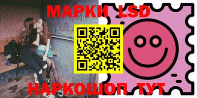 apvp Бердск
