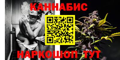 mdpv Брянск