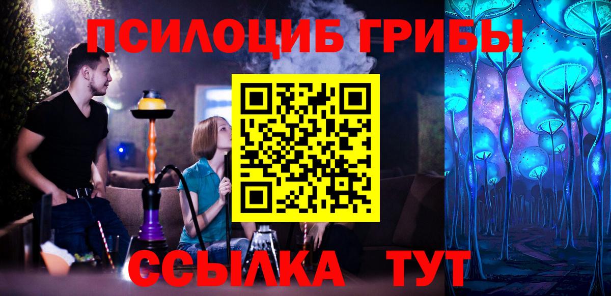 Псилоцибиновые грибы Psilocybine cubensis Мценск